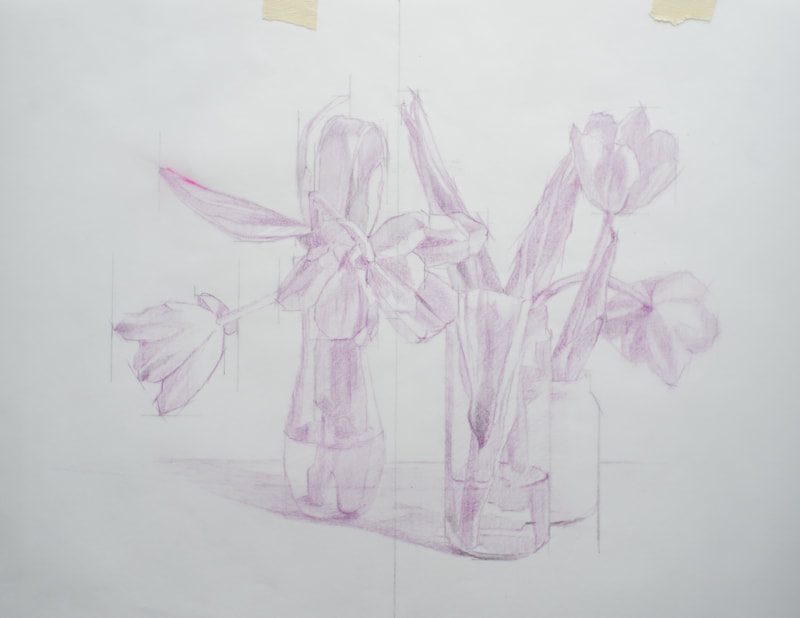 Tulip still life drawing in violet. Original size 11 inches by 14 inches